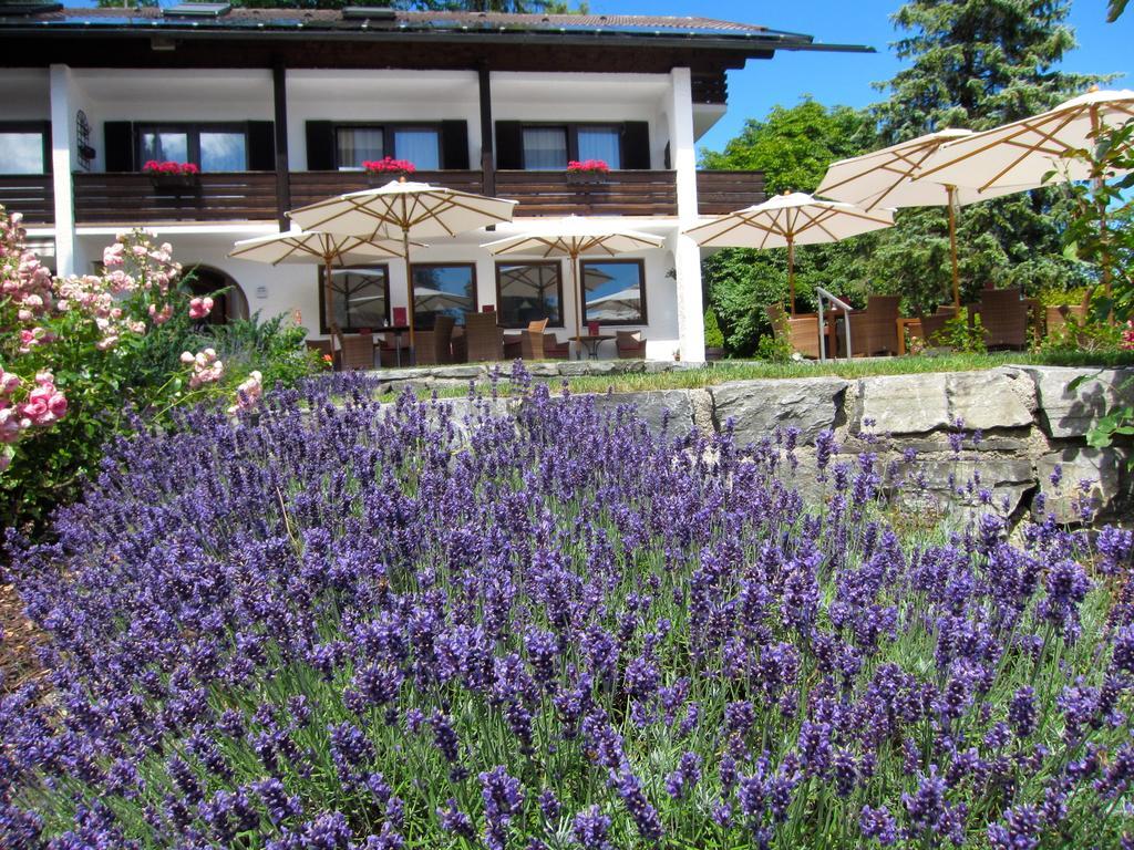 Seehof Apartments Walchensee Dış mekan fotoğraf